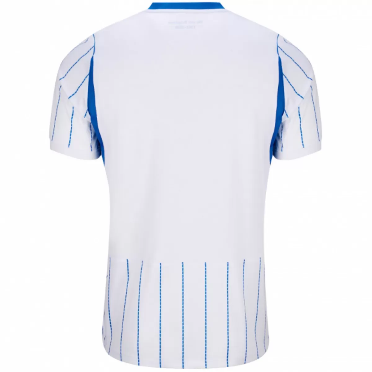 Brighton & Hove Albion Away Jersey Fan Version 26/27