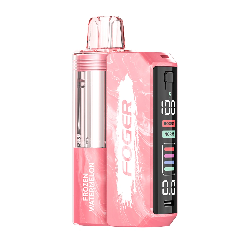 Foger Switch Pro 30000 Puffs Kit - Frozen Watermelon