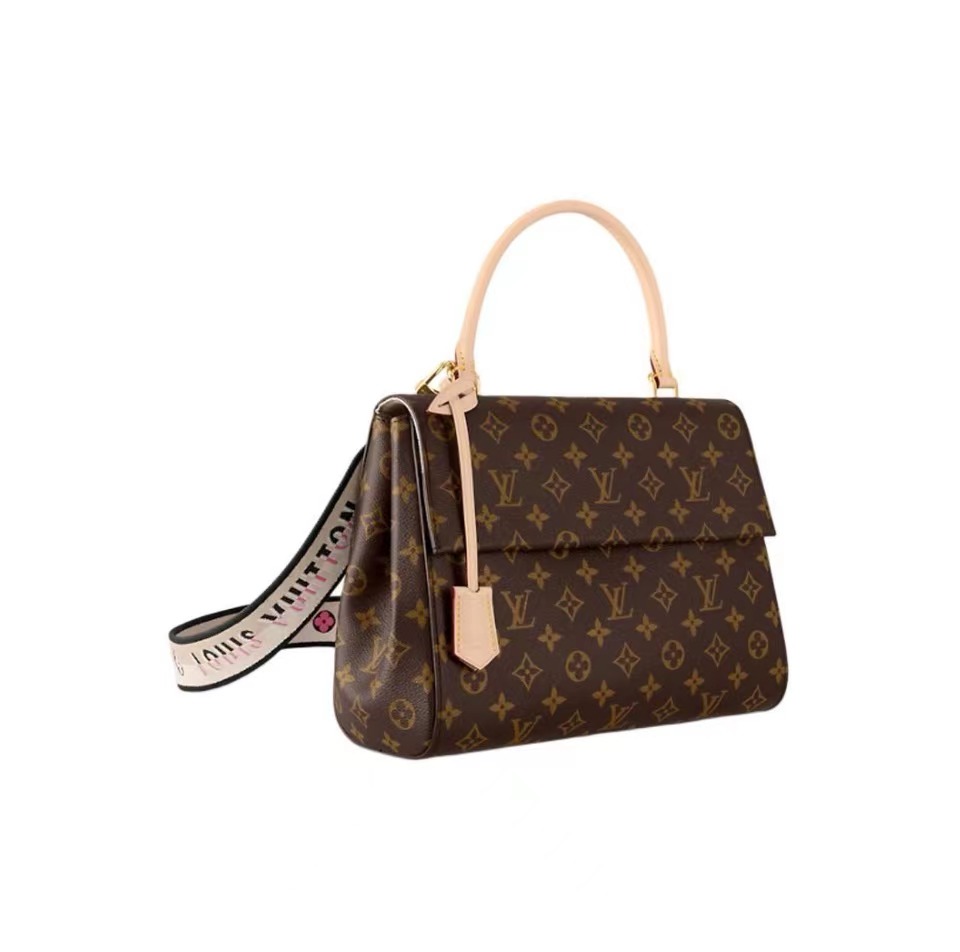 Louis Vuitton LV Cluny BB M46372