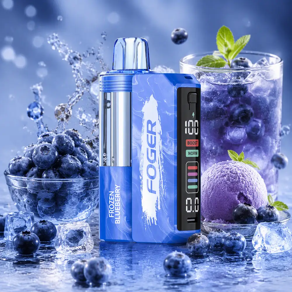 Foger Switch Pro 30000 Puffs Kit - Frozen Blue Berry