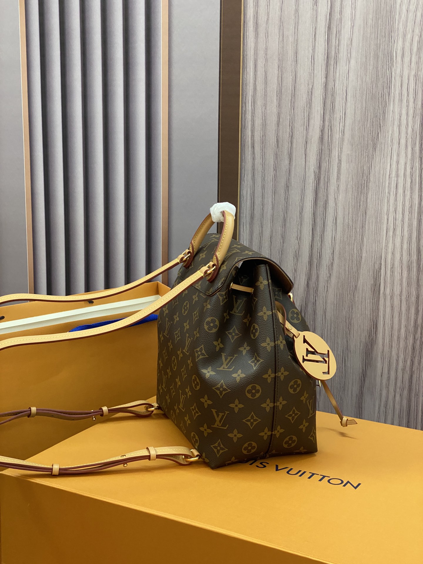 Louis Vuitton LV Montsouris PM M45501