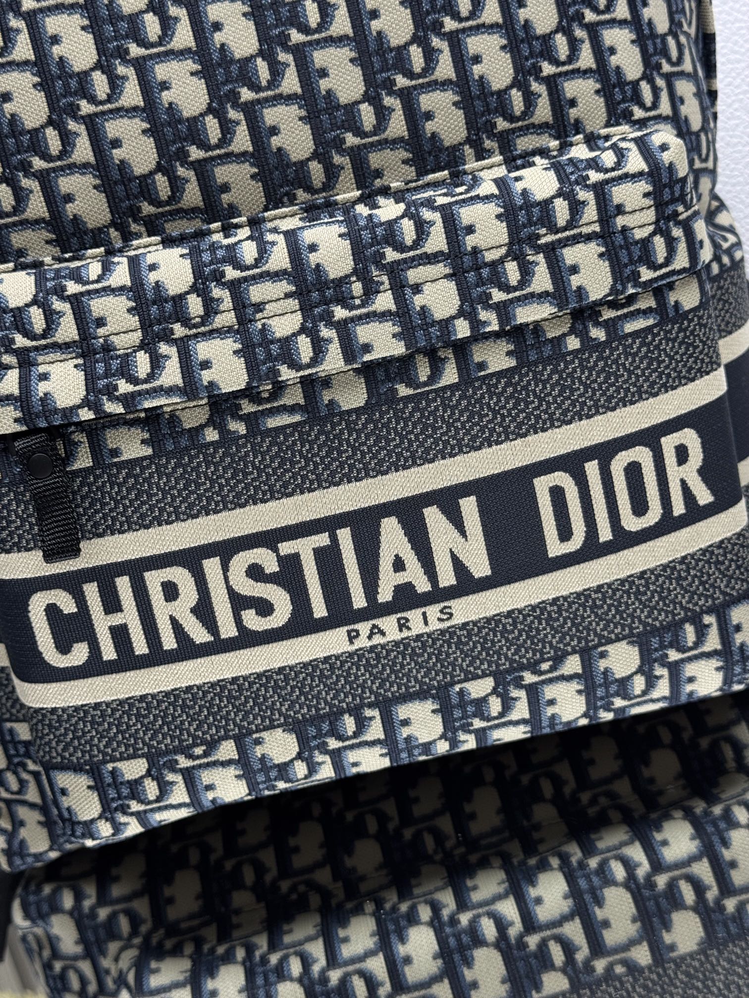 Dior Travel Medium Backpack in Blue Oblique canvas