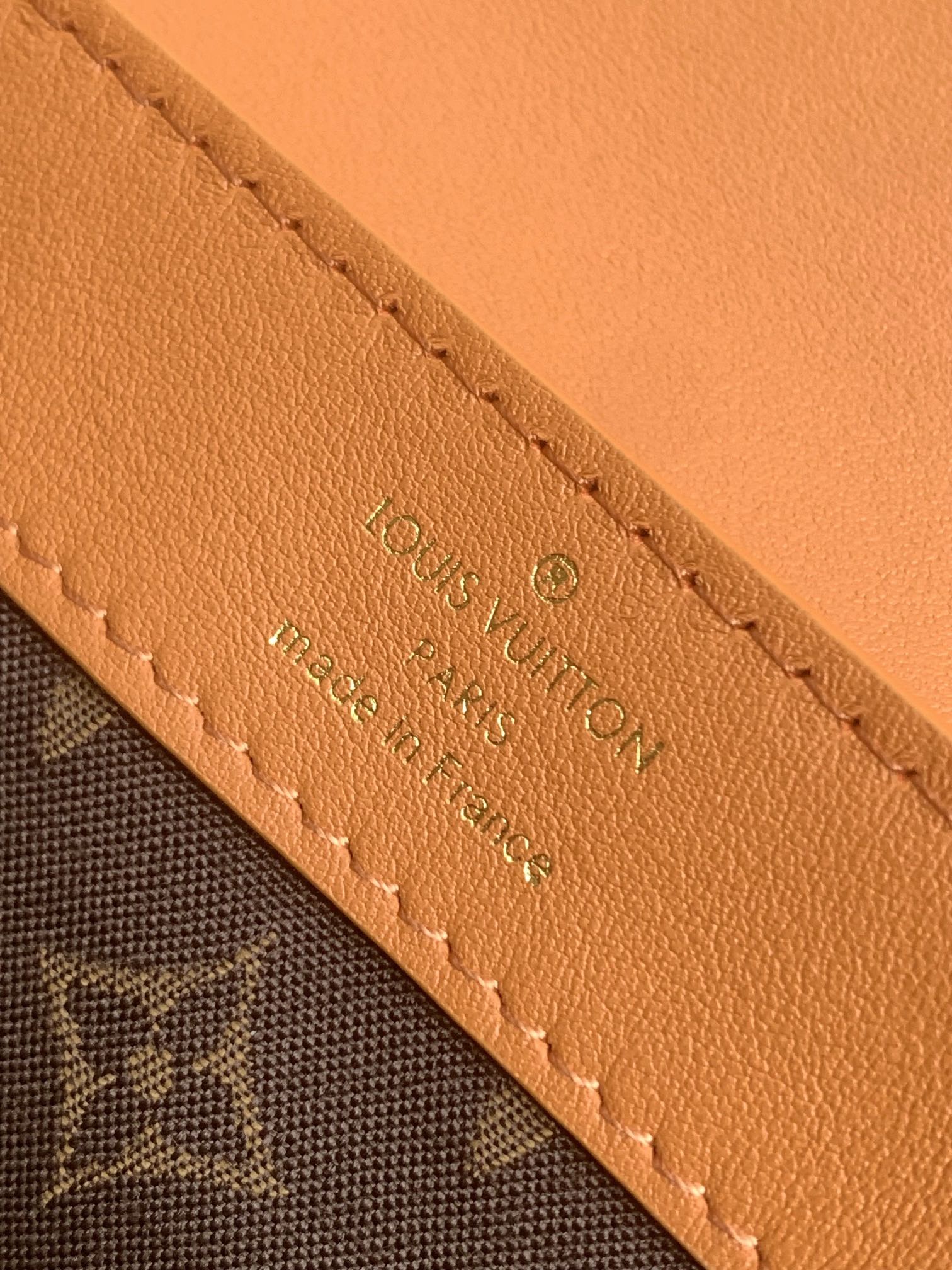 Louis Vuitton Dauphine Soft Medium Handbag