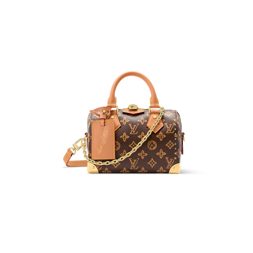 Louis Vuitton LV bags Speedy Trunk 20