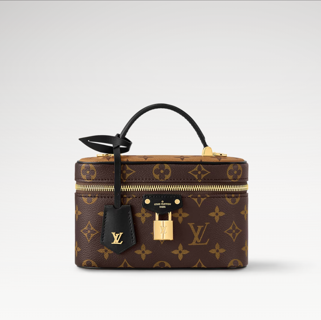 Louis Vuitton LV Vanity Pouch Toiletry Bag
