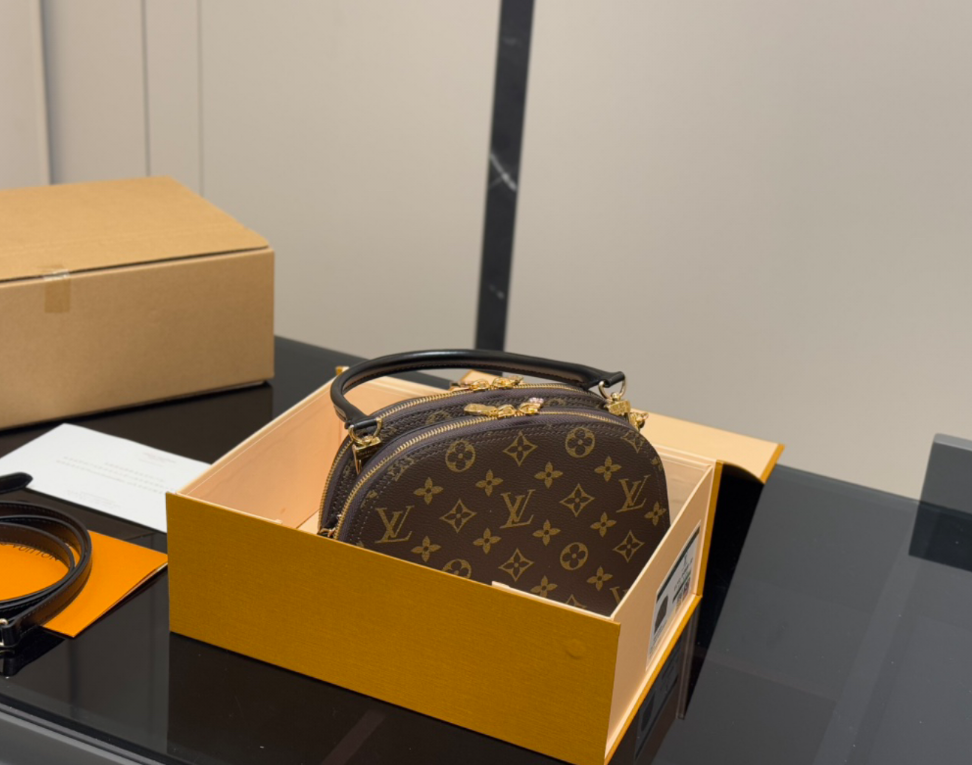Louis Vuitton LV Versatile Classic Shell Bag