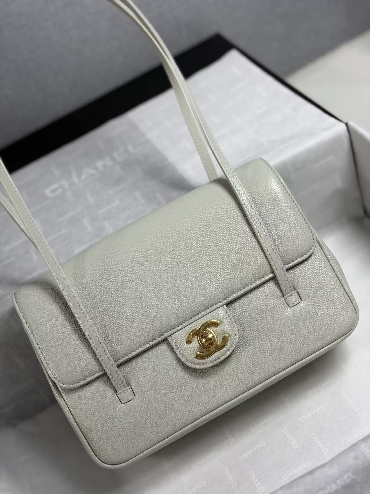 Chanel Preppy Coco handbag