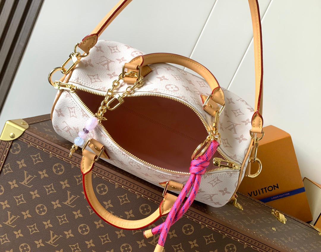 Louis Vuitton lv speedy 30