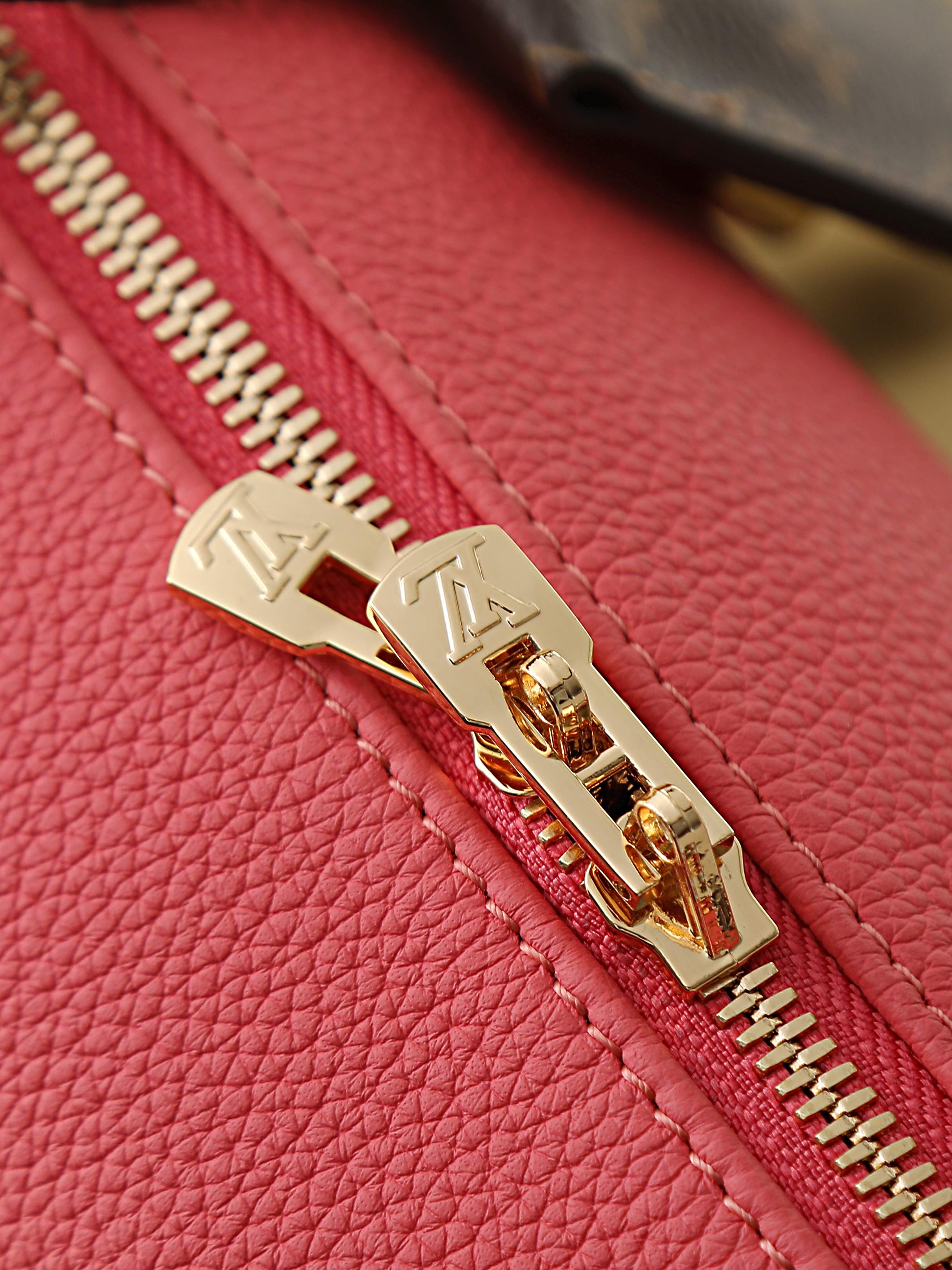 Louis Vuitton Express Small Handbag
