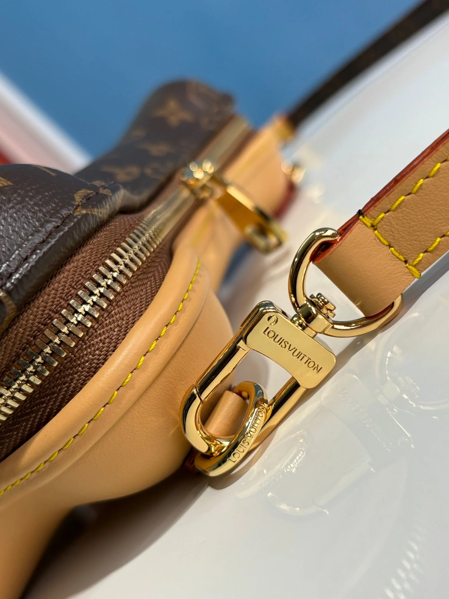 Louis Vuitton LV SS25 Bone Wearable  24cm Monogram coated canvas
