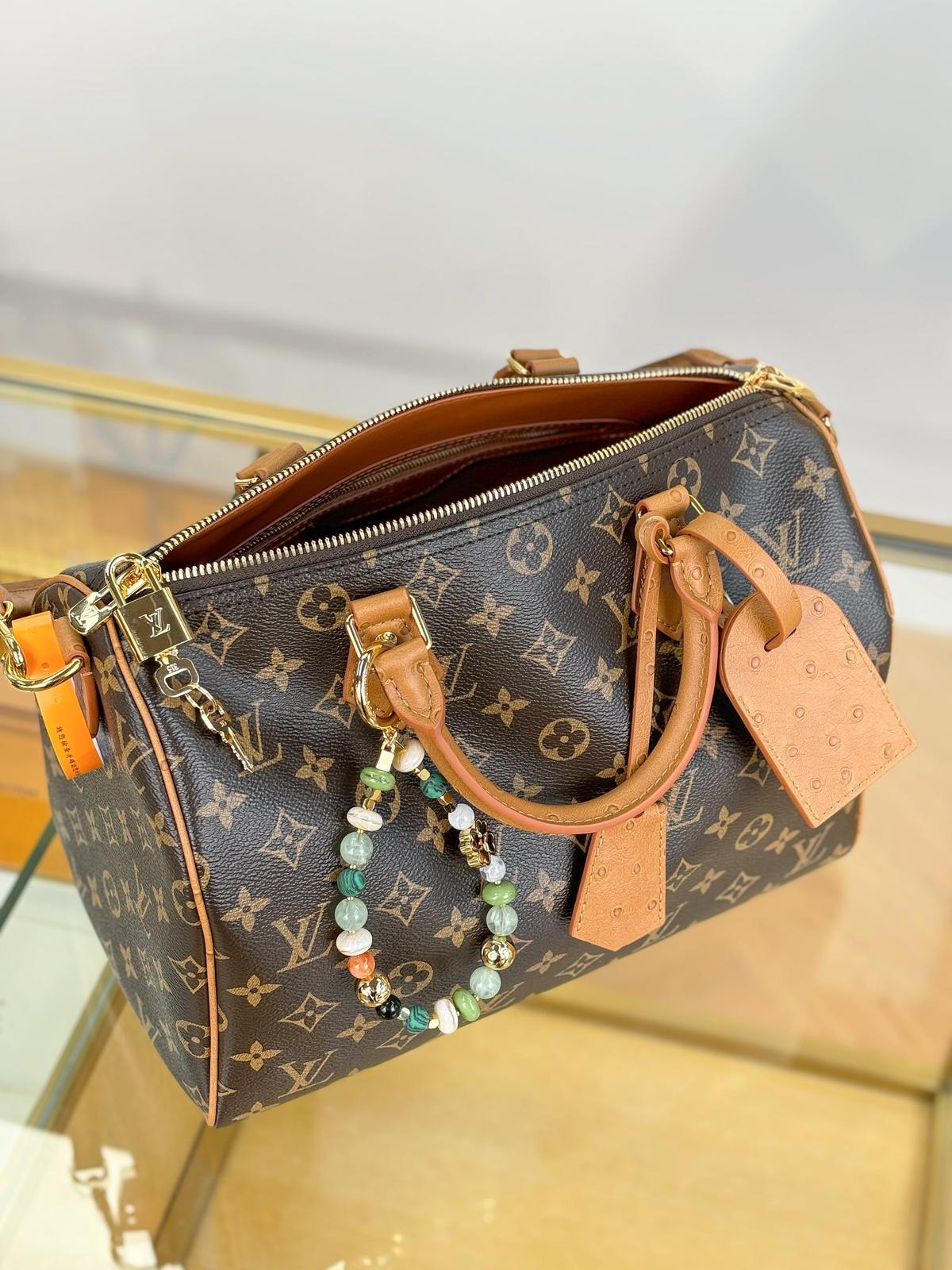 Louis Vuitton Bags SPEEDY SOFT 30 BOHO handbag