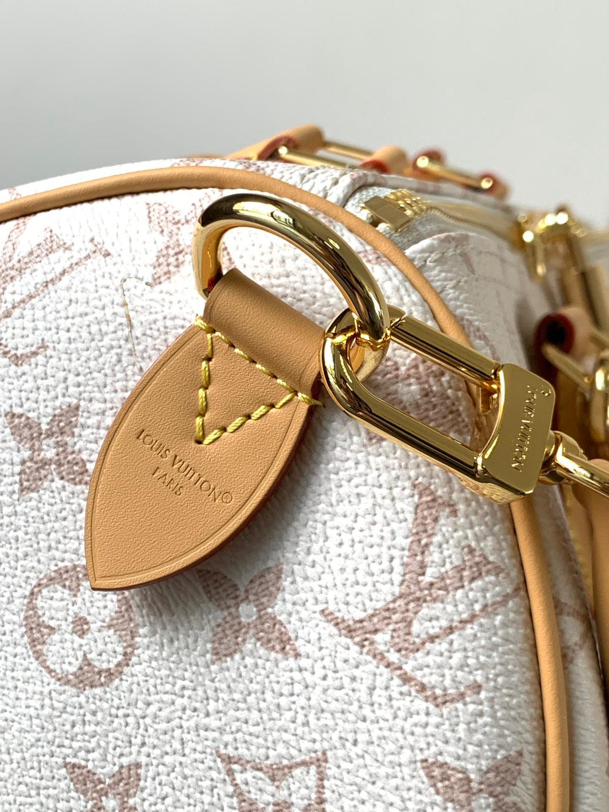 Louis Vuitton lv speedy 30