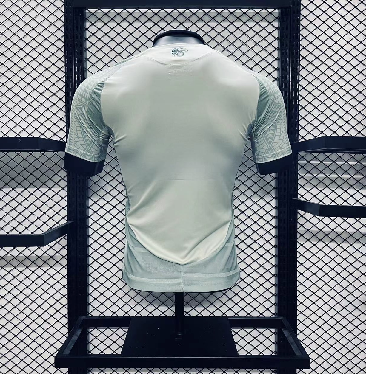 Player Version  Mexico 2024/25 Away