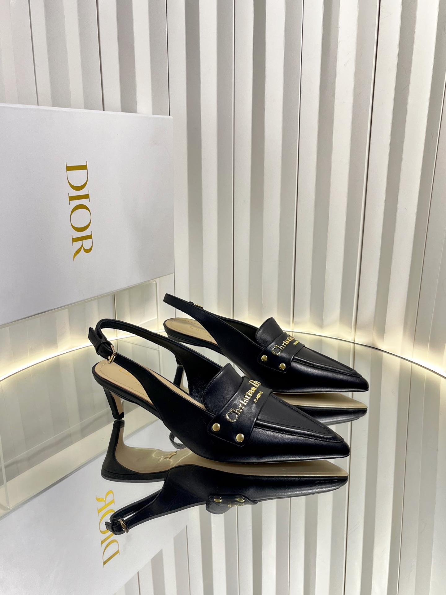 Dior 2026 New Slingback Pump
