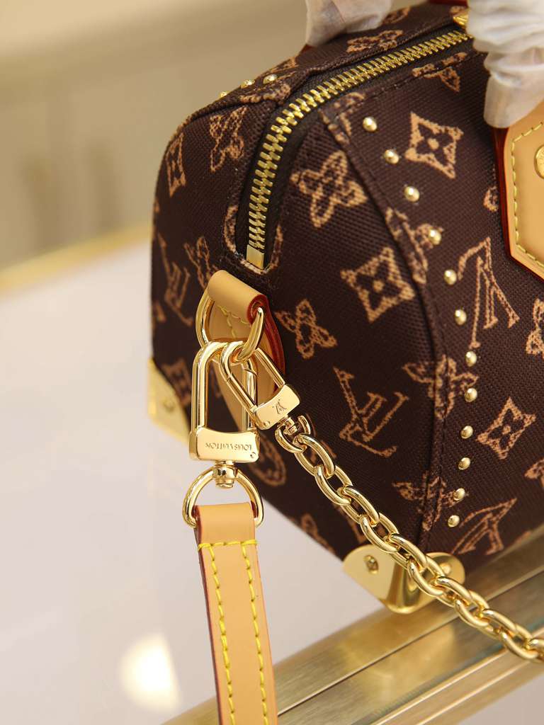 Louis Vuitton LV speedy 20 handbag