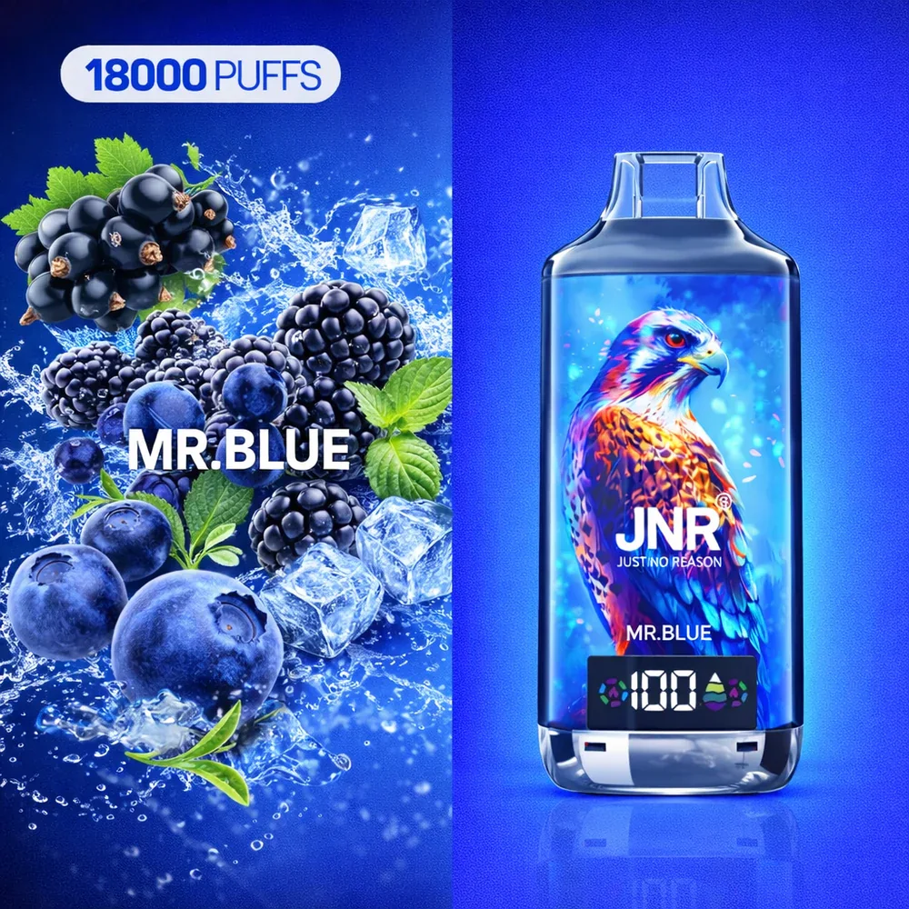 JNR Falcon X 18K Disposable Vape – Mr. Blue - Vaba Vape-Shop