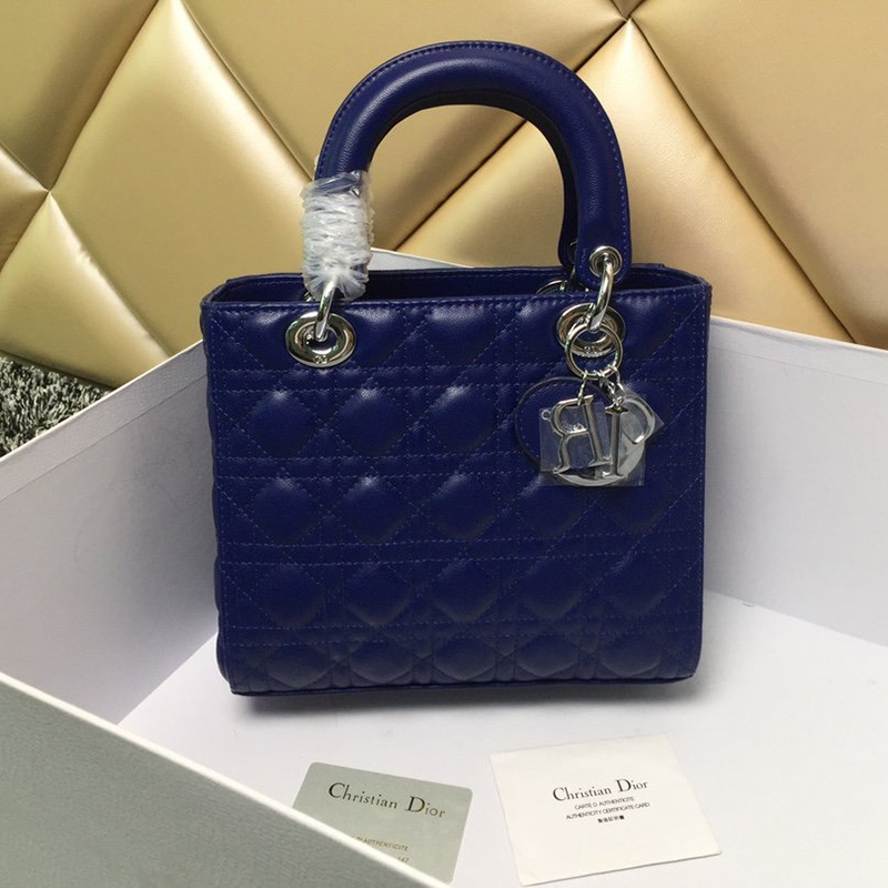 Dior The LADY D-LITE Bag  AAA Quality
