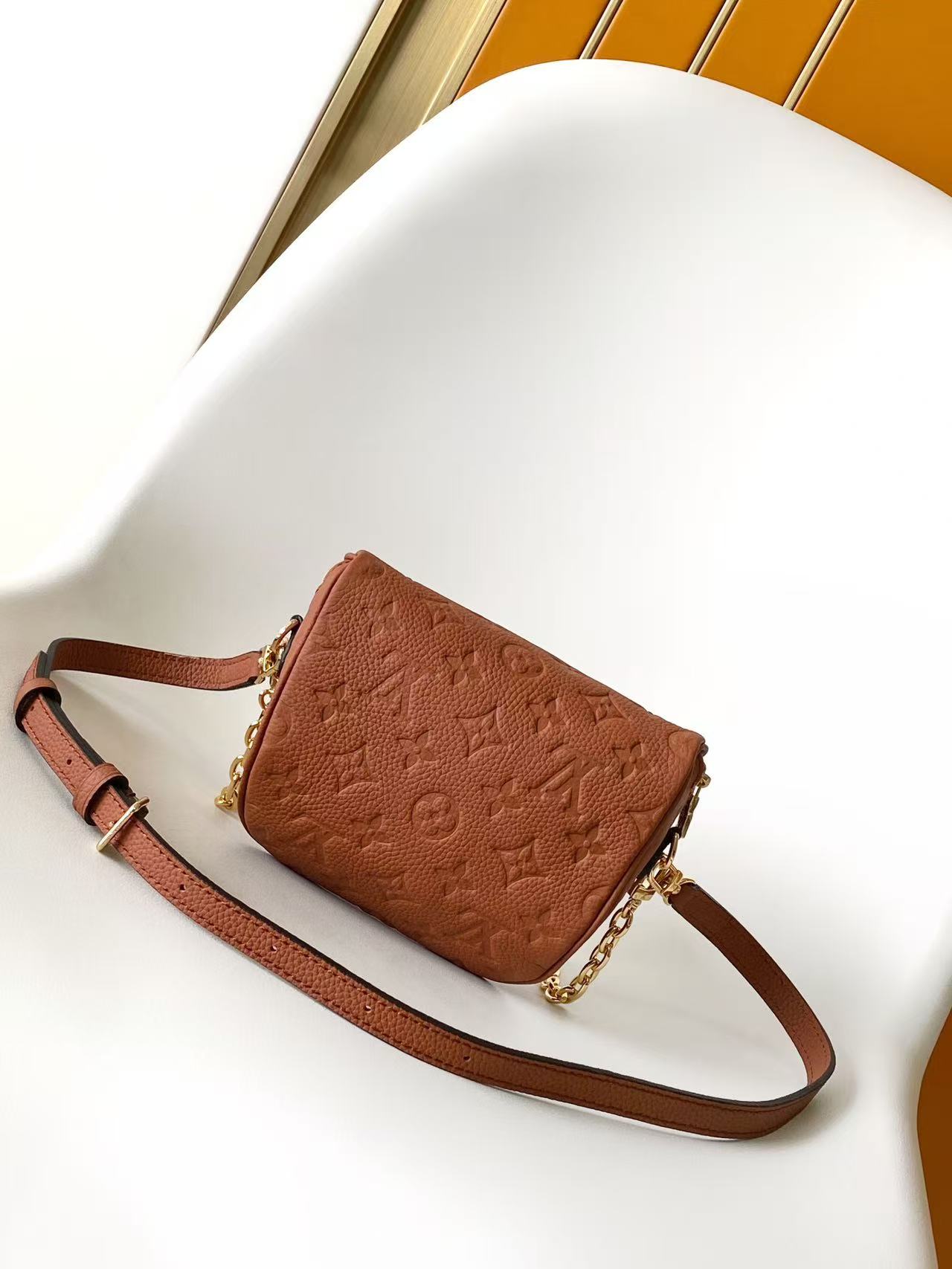 Louis Vuitton Mini Bumbag