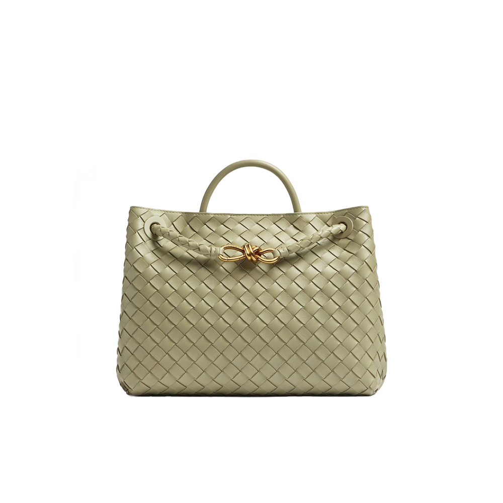 Bottega Veneta BV Medium Andiamo Bag
