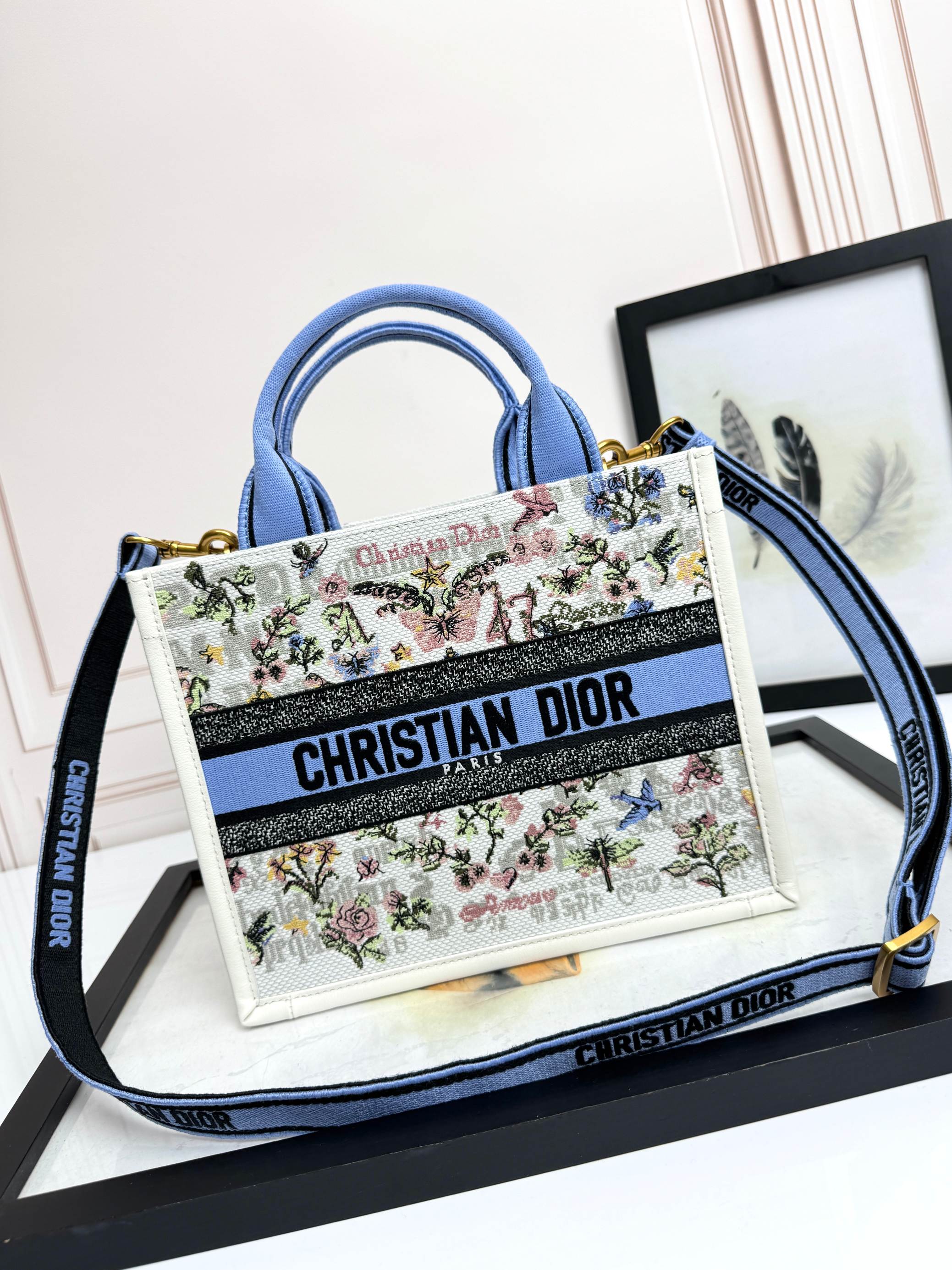 Dior Embroidered Canvas Small  Book Tote with shoulder strap