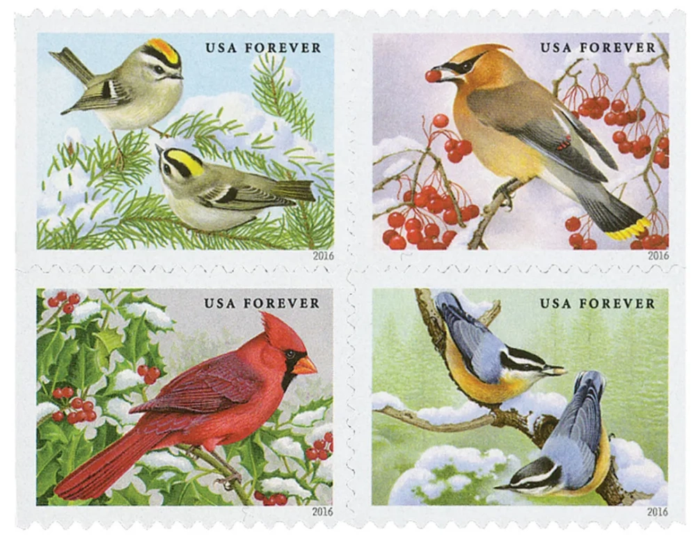 Songbirds in Snow - PostMarks