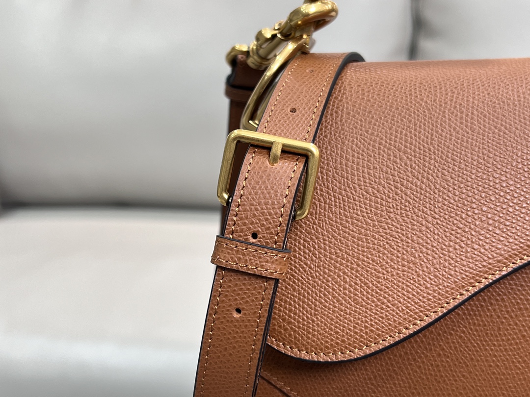Dior Saddle Bag With Strap in Power Beige