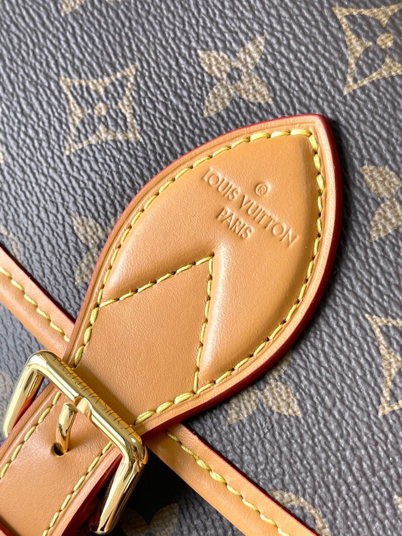Louis Vuitton LV presbyopic cross-body handbag