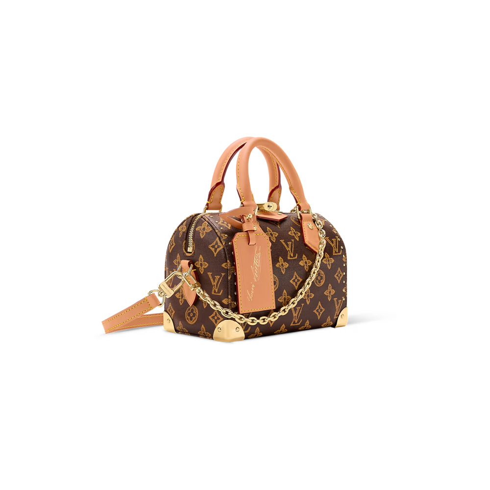 Louis Vuitton LV bags Speedy Trunk 20