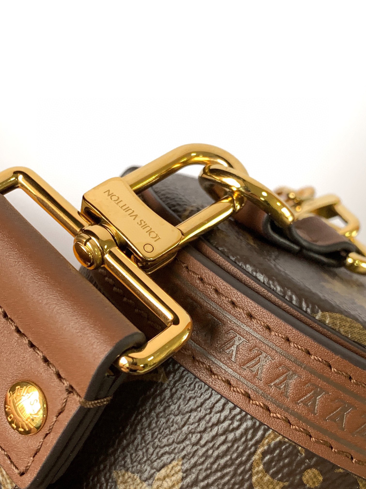 Louis Vuitton LV Papillon Trunk M81485