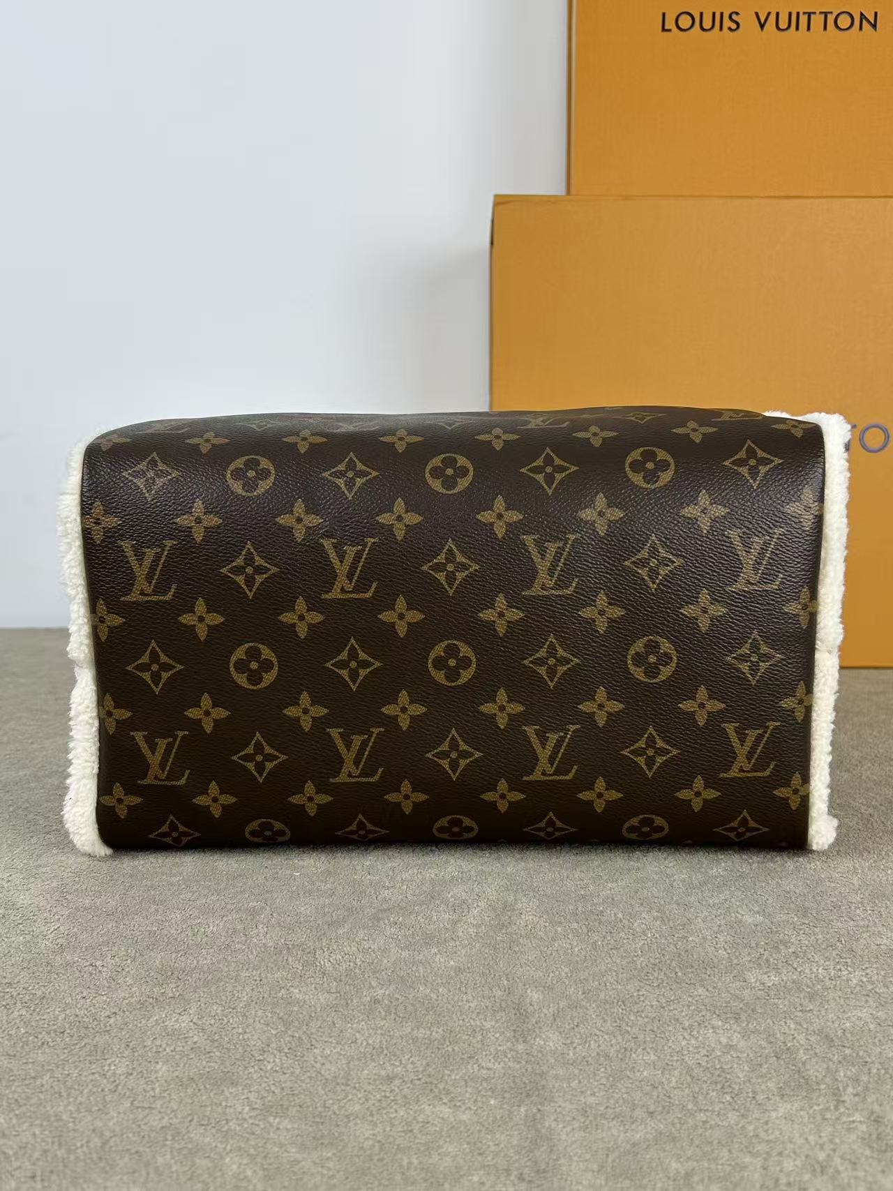 Louis Vuitton LV SPEEDY SOFT 30 TEDDY Handbag