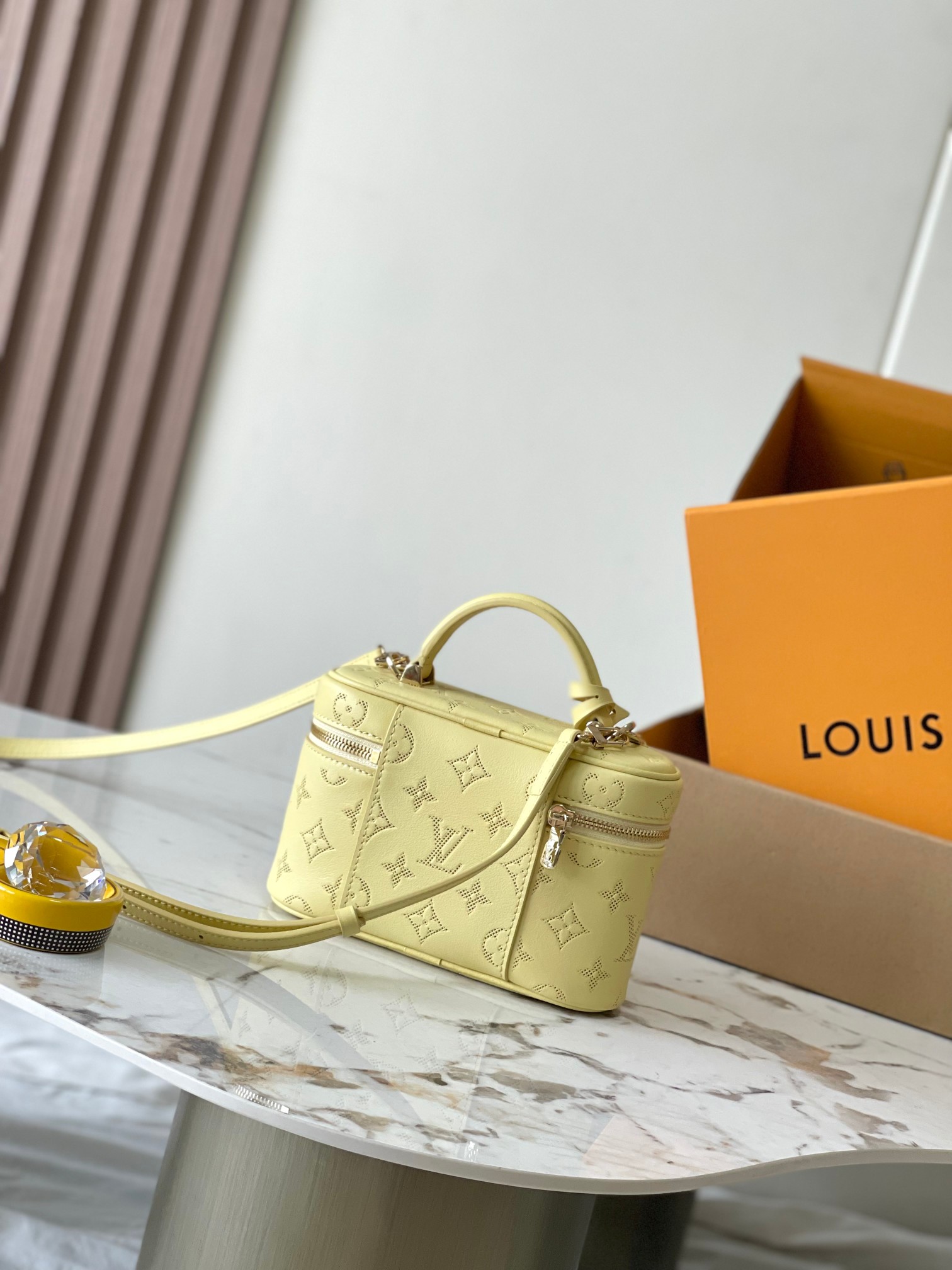 Louis Vuitton Vanity Pouch handbag