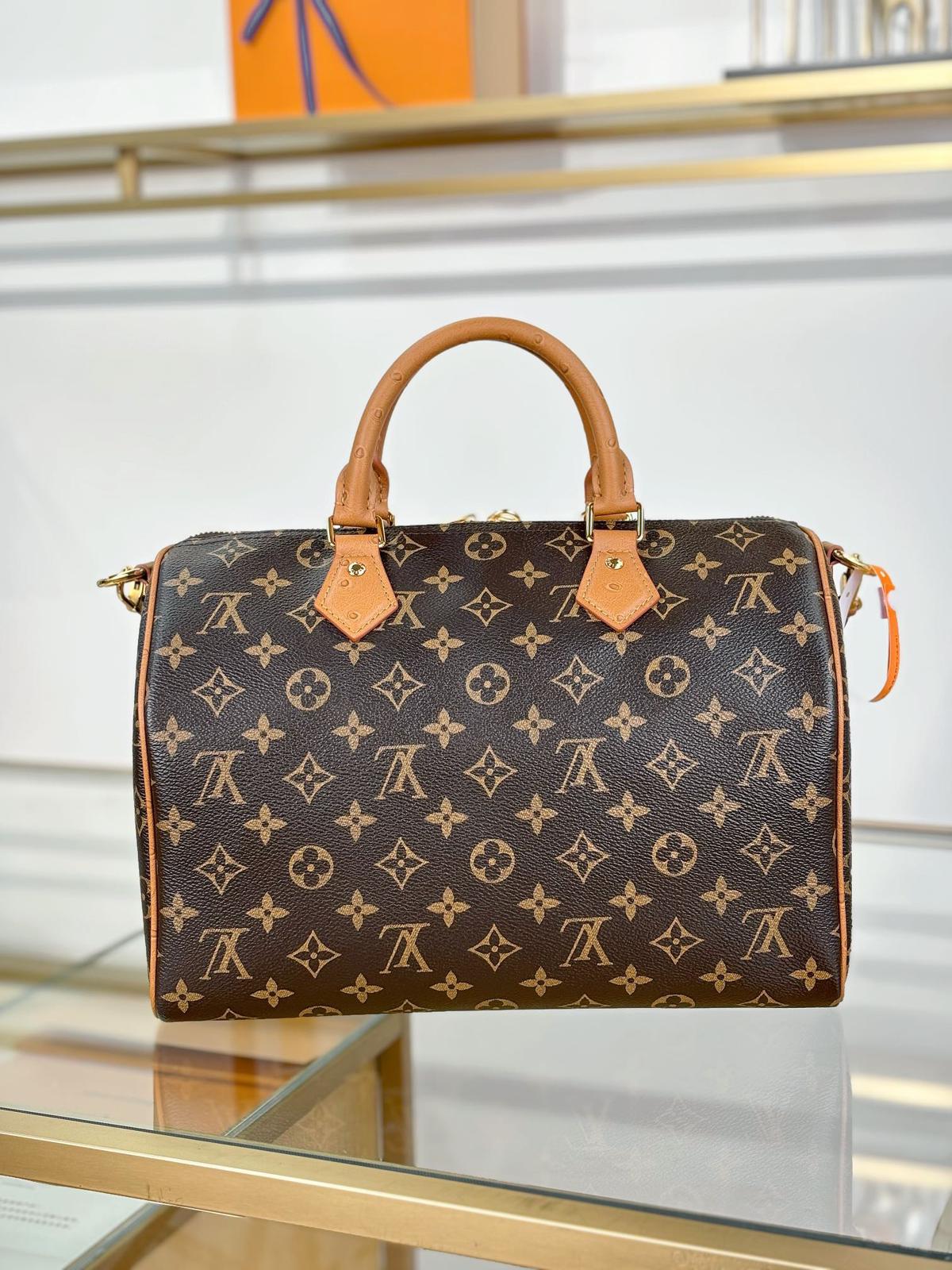 Louis Vuitton Bags SPEEDY SOFT 30 BOHO handbag