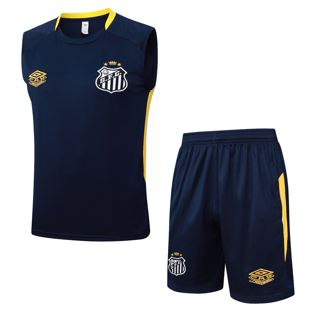 Santos Training Jersey 24/25 | Soc Jersey - Premium Football Jersey