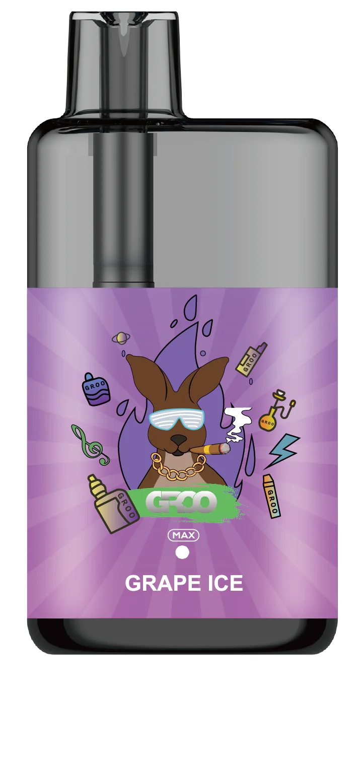 GROO MAX 10K Rechargeable Disposable Vape – Grape Ice - Vaba Vape-Shop