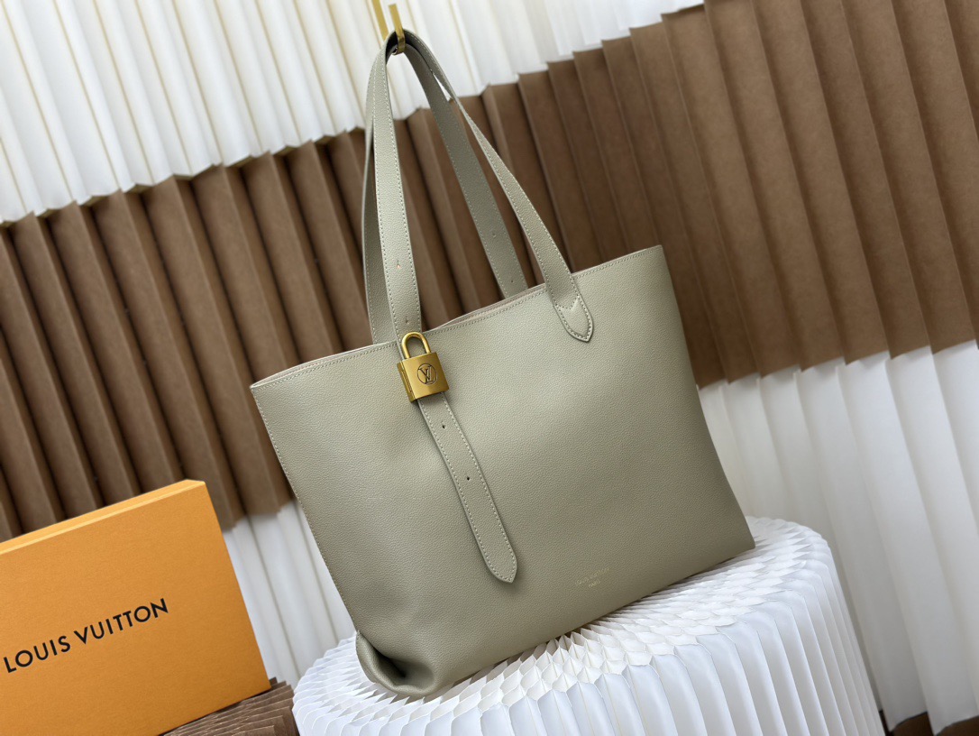 Louis Vuitton medium calfskin bag
