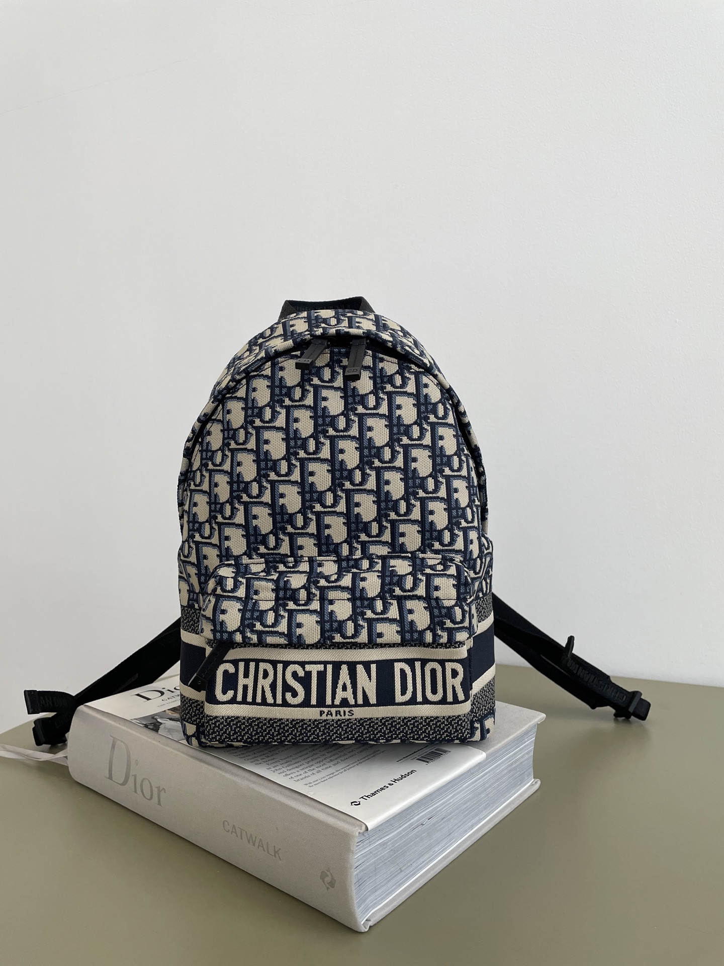 Dior Travel series letter canvas small backpack