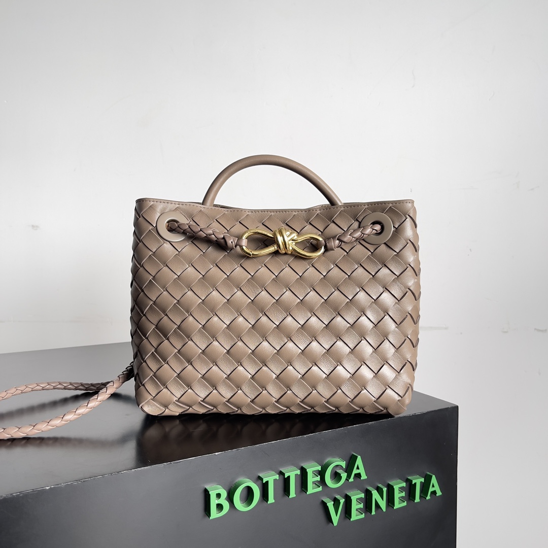 Bottega Veneta Andiamo Fashionable Old Money Style Handbag