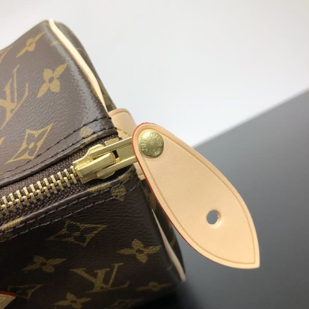 Louis Vuitton LV Speedy handbag