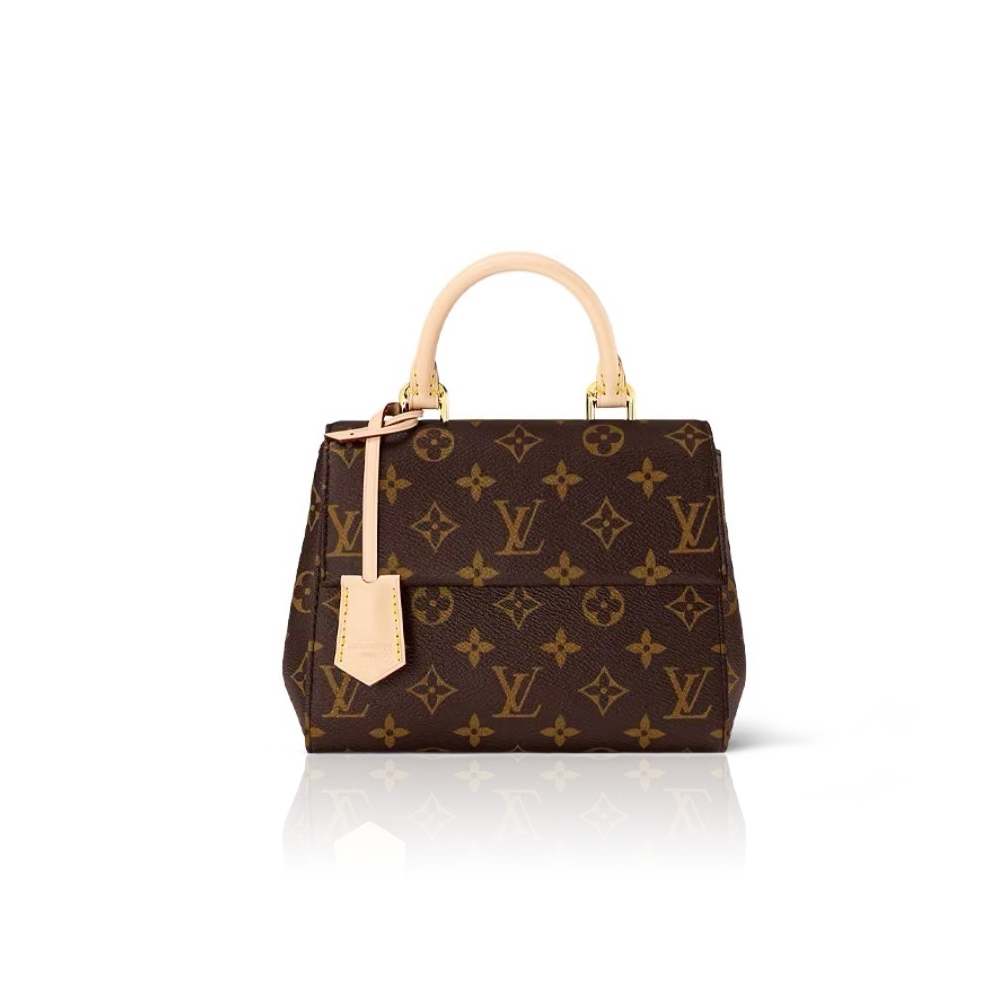Louis Vuitton LV Cluny BB M46055