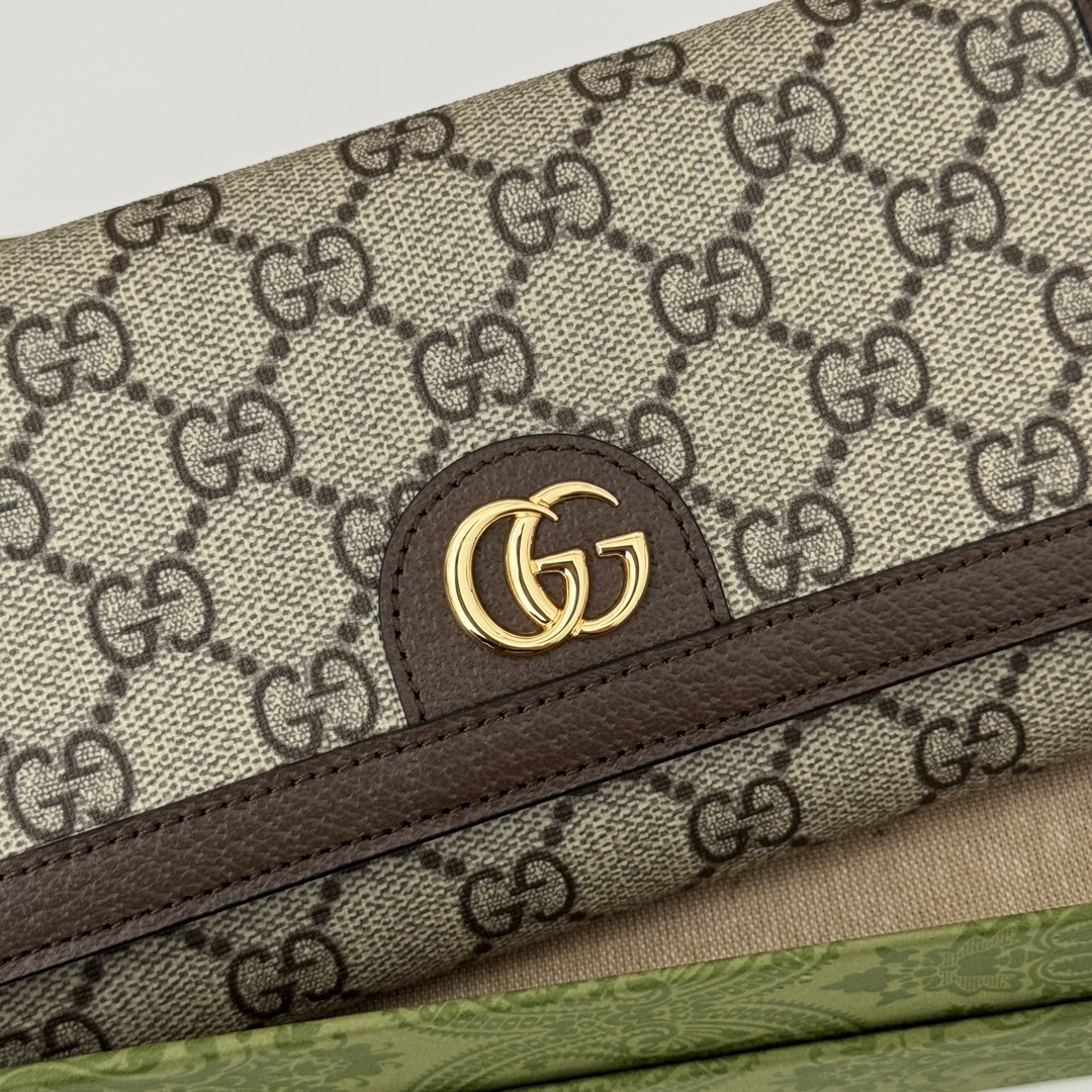 GUCCI GG Ophidia bag Supreme On Chain WOC