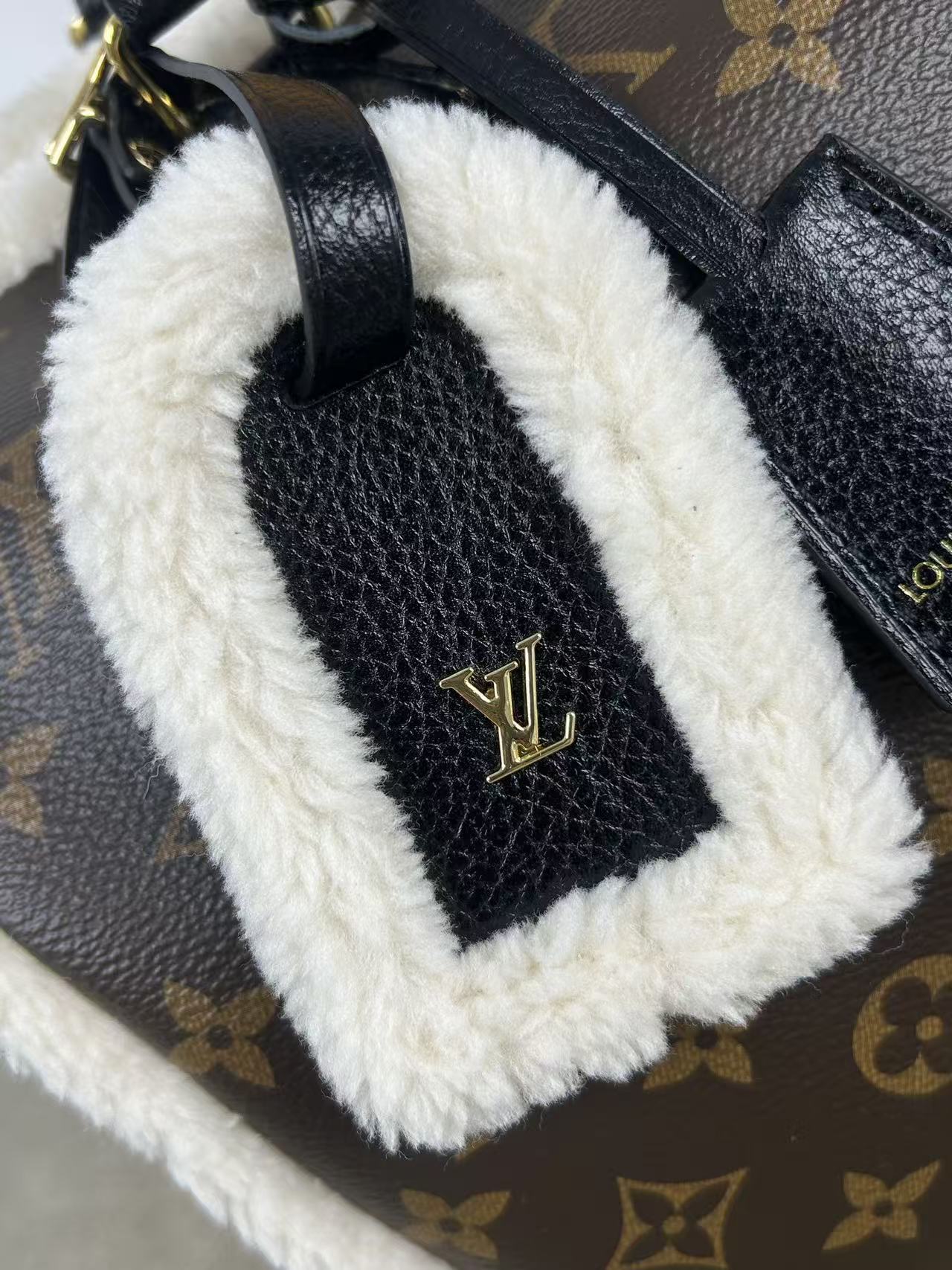 Louis Vuitton LV SPEEDY SOFT 30 TEDDY Handbag