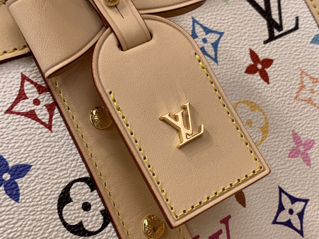 Louis Vuiton Bags LV x TM Dog Pet Bag