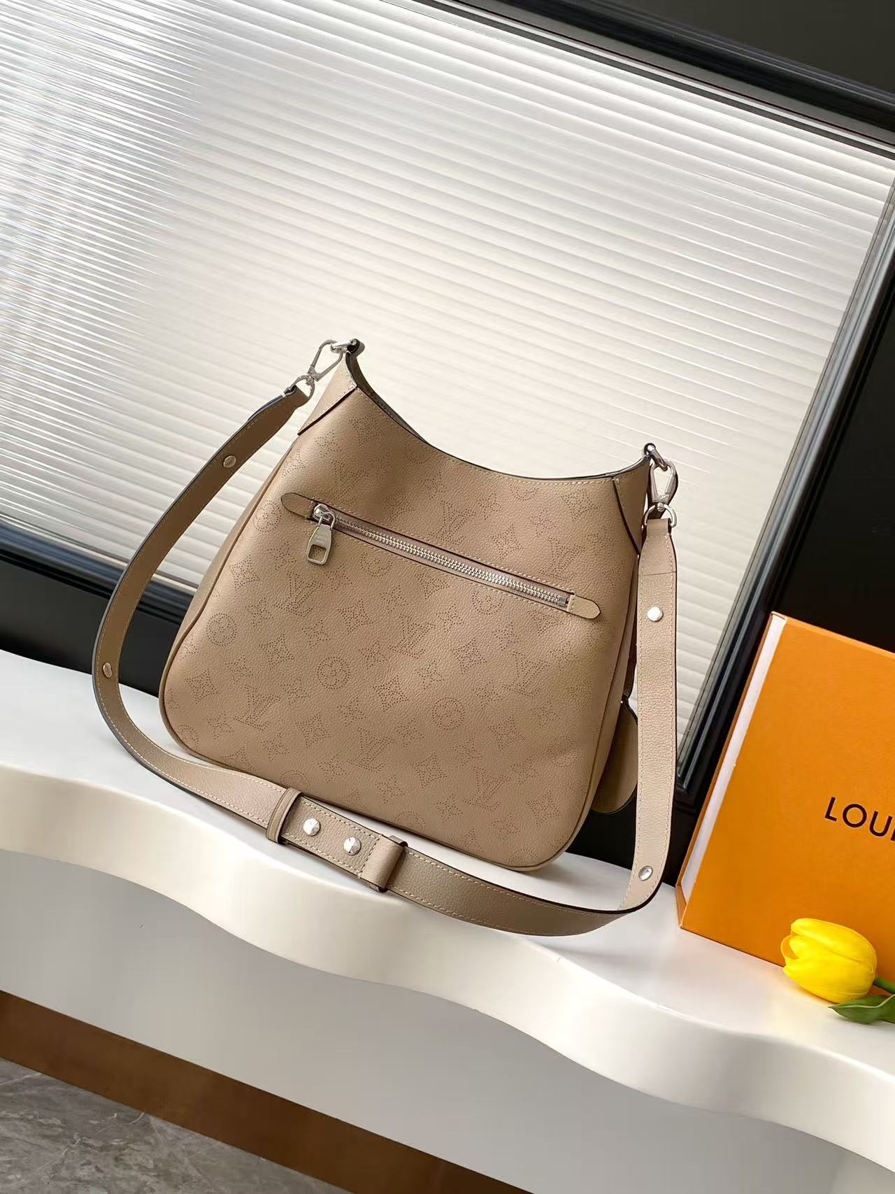 Louis Vuitton LV ALL AROUND