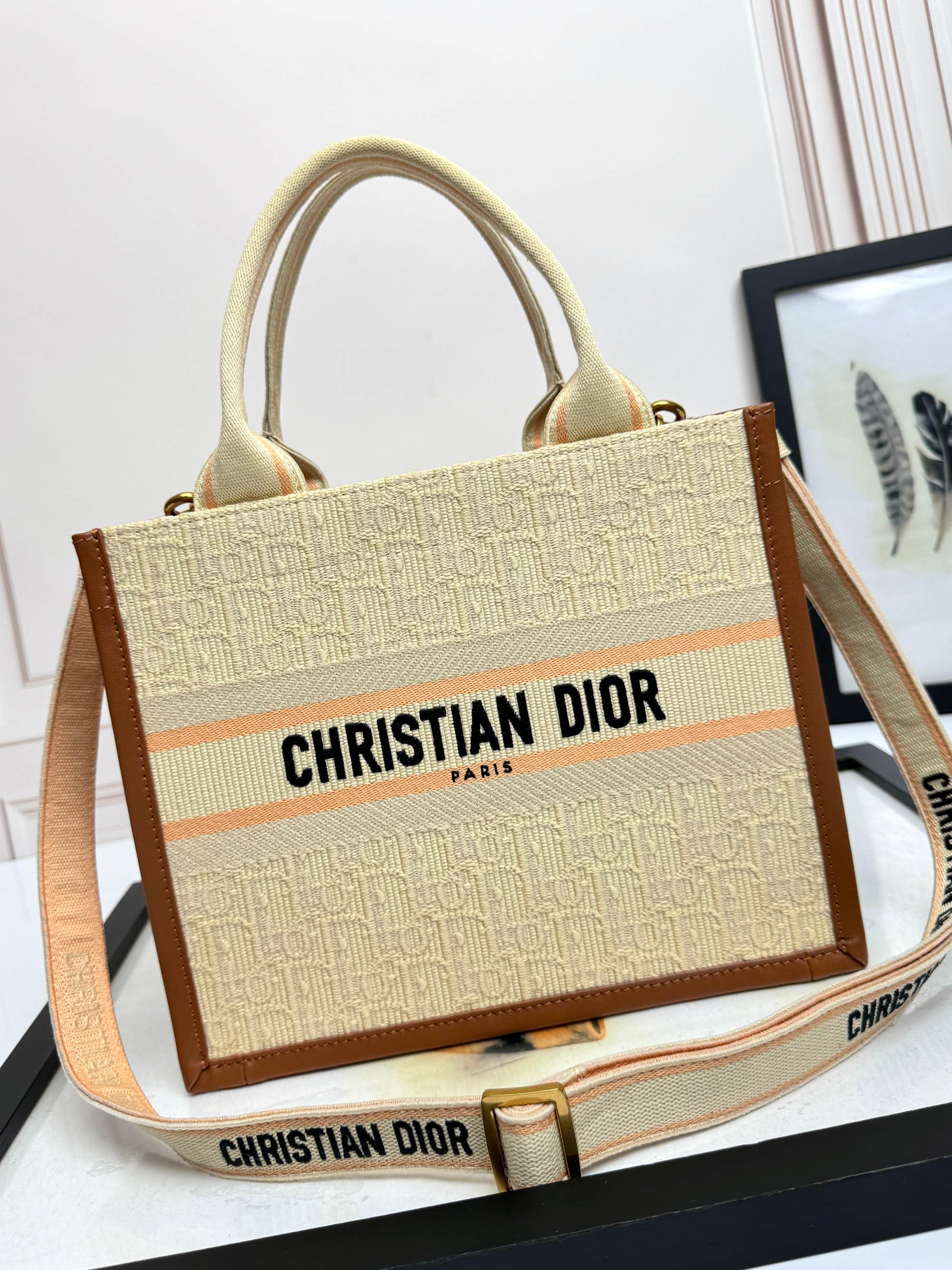 Dior Embroidered Canvas Small  Book Tote with shoulder strap