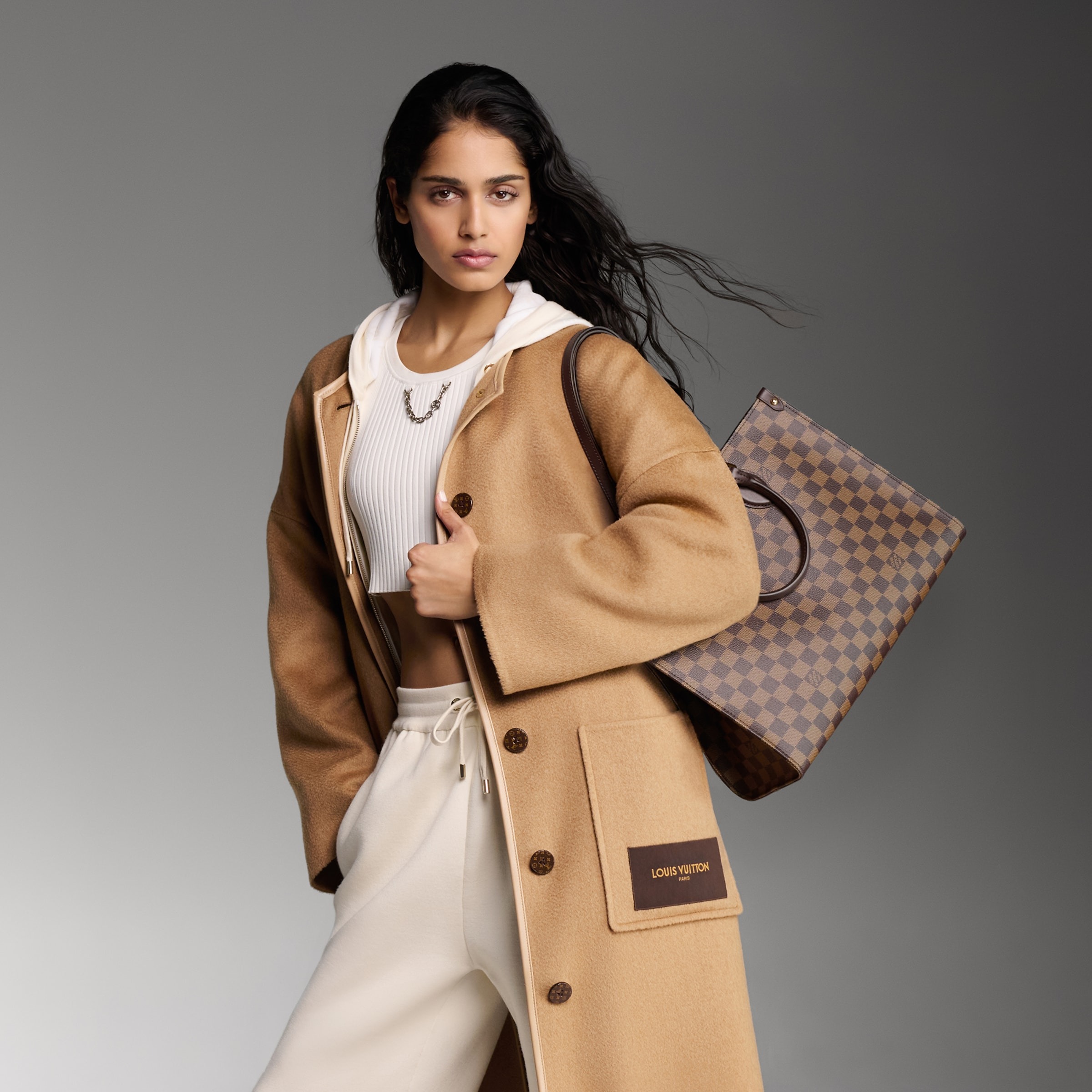 LOUIS VUITTON LV OnTheGo MM