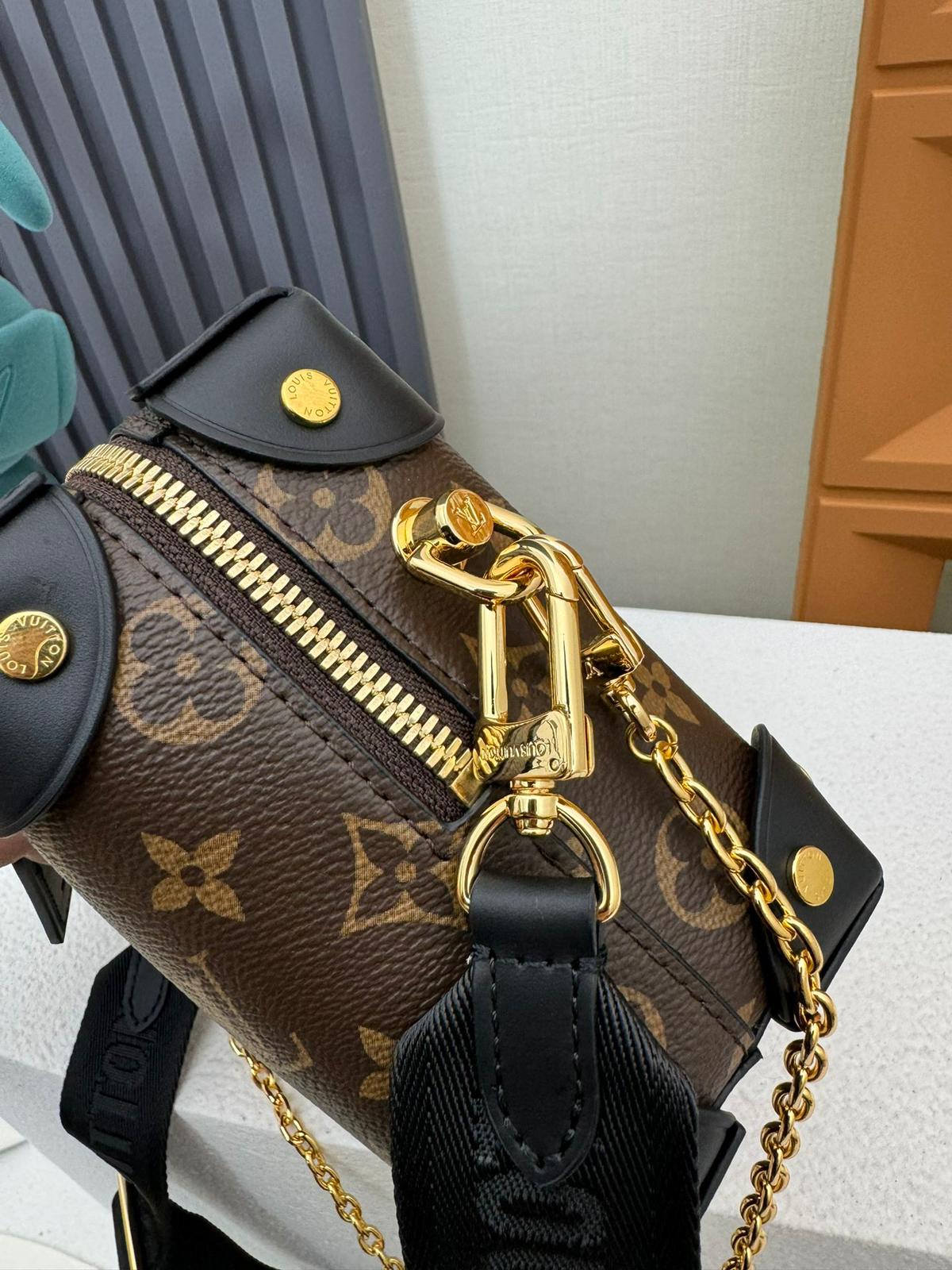 Louis Vuitton LV Petite malle souple bag