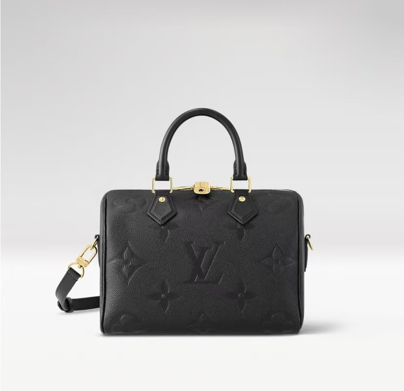 Louis Vuitton classic Sedy 25 handbag