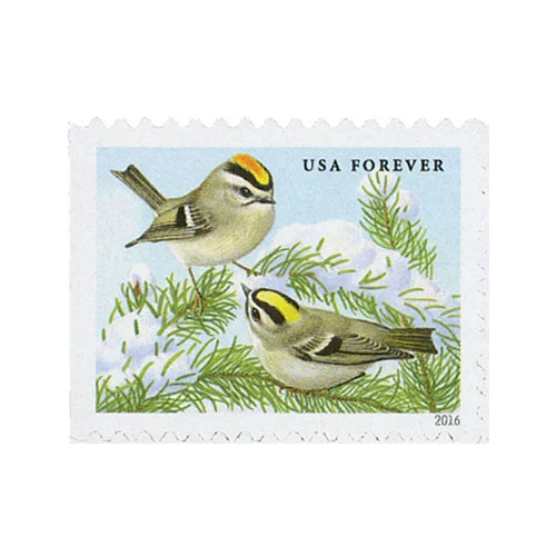 Songbirds in Snow - PostMarks