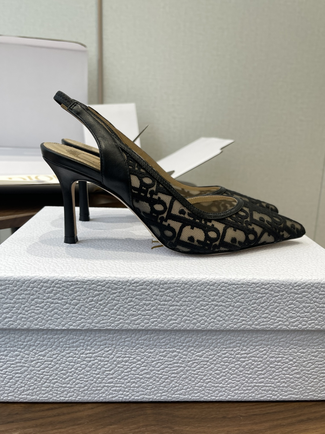 Dior 2026 New Slingback Pump
