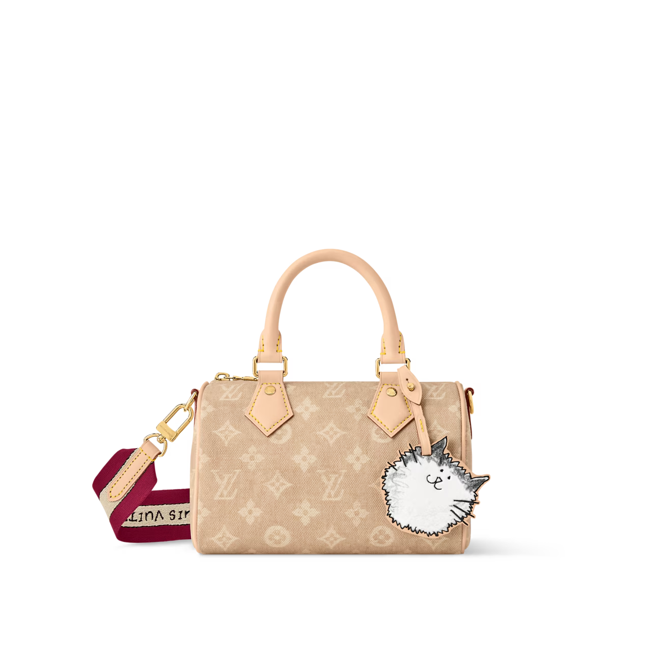 Louis Vuitton Speedy 20 Bandoulière handbag